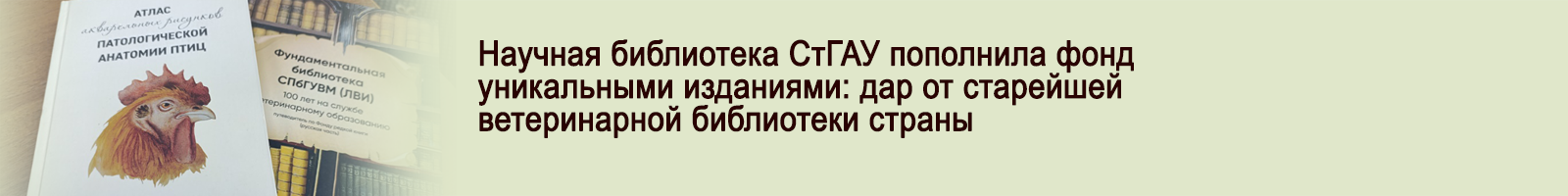 24 апреля 2026