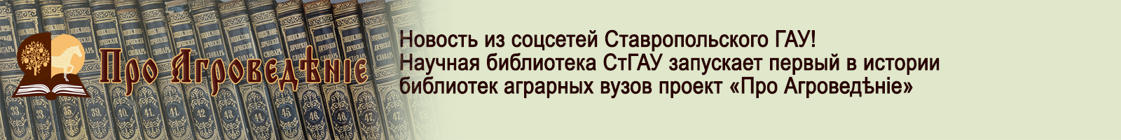 27 августа 2025